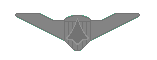 Air Force Pilot Wings