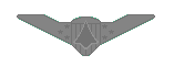 Space-Qualified Air Force Pilot Wings