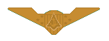 Space-Qualified Naval Aviator Wings