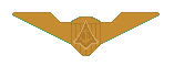 Naval Aviator Wings
