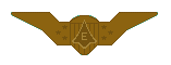 Weapons Systems Officer